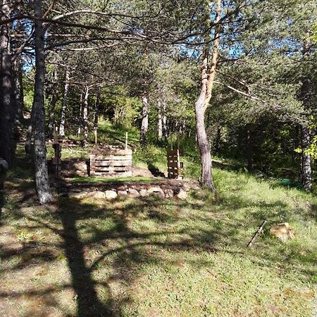 Gite Les Cigales Chateauvieux  Eksteriør bilde